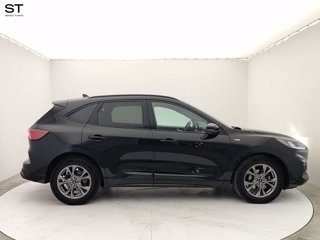 FORD Kuga 1.5 EcoBlue 120 CV 2WD ST-Line