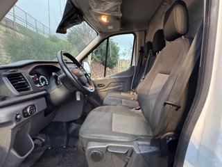 FORD Transit 350 2.0TDCi EcoBlue 170CV PL-SL-TA Furg. Jumbo Trend