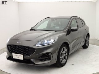 FORD Kuga 2.0 EcoBlue Hybrid 150 CV 2WD ST-Line