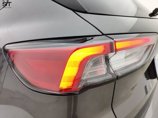 FORD Kuga 2.5 Plug In Hybrid 225 CV CVT 2WD ST-Line